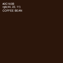 #2C160B - Coffee Bean Color Image